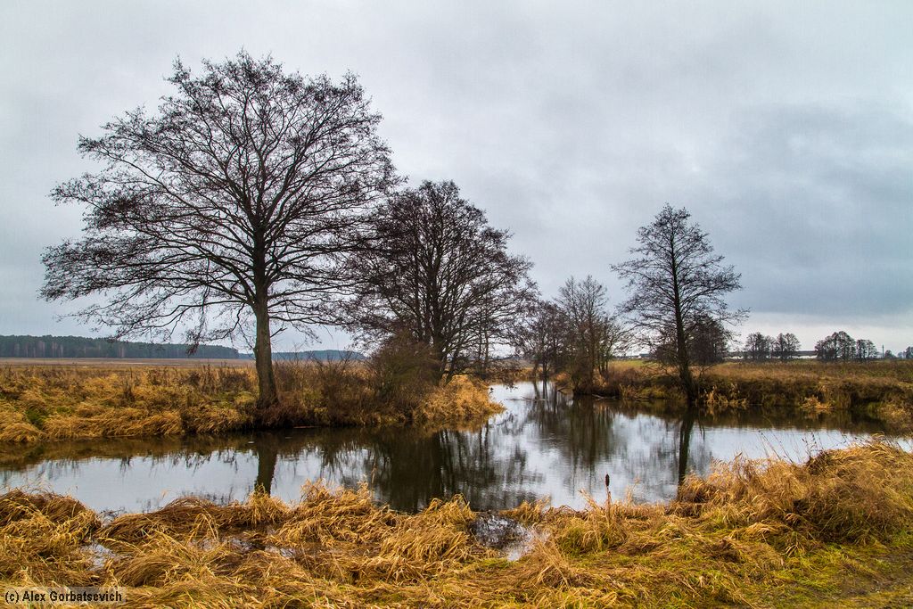 ����� ���� ����