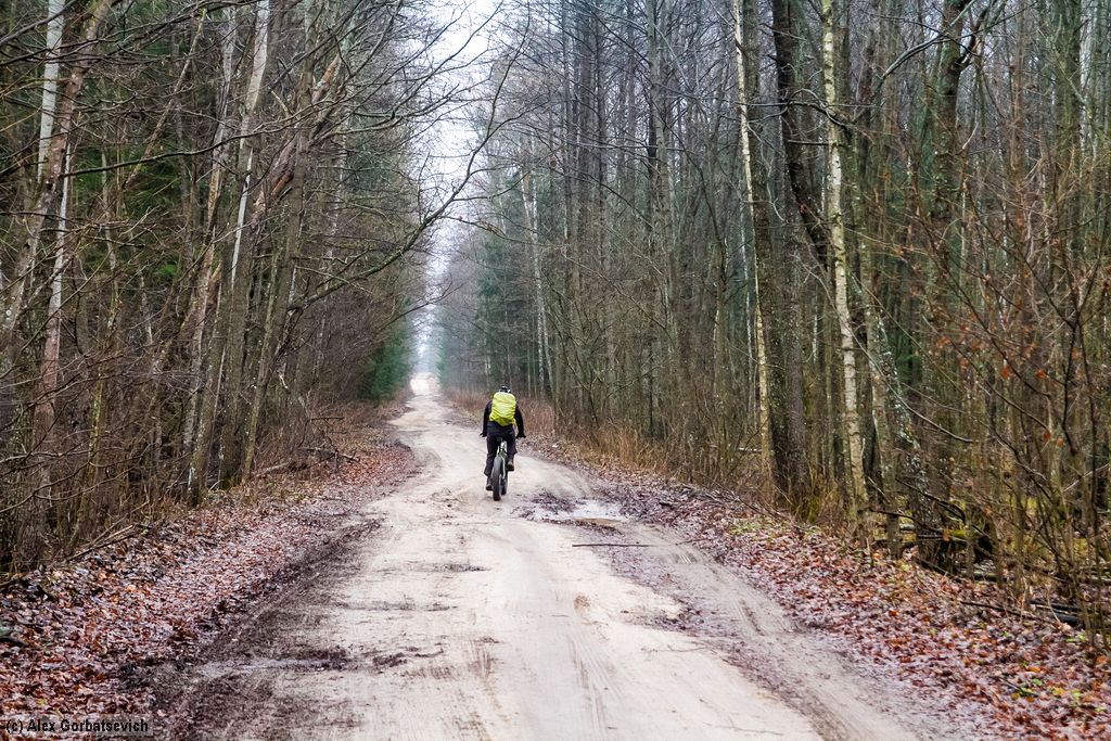 �� ������