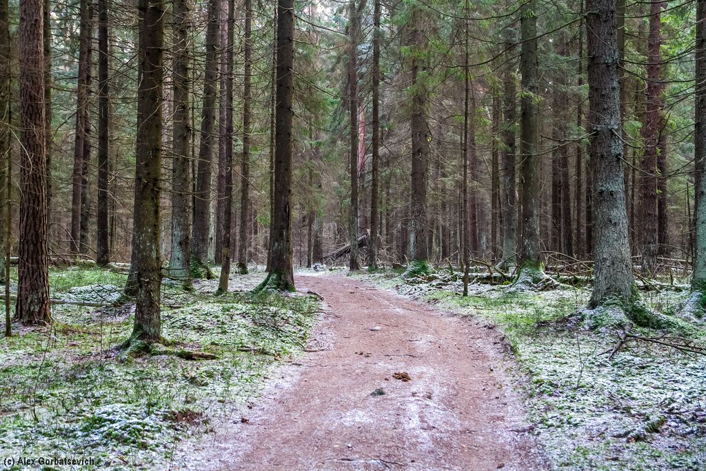 ������ ���