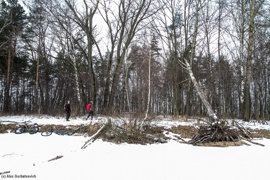 ���������