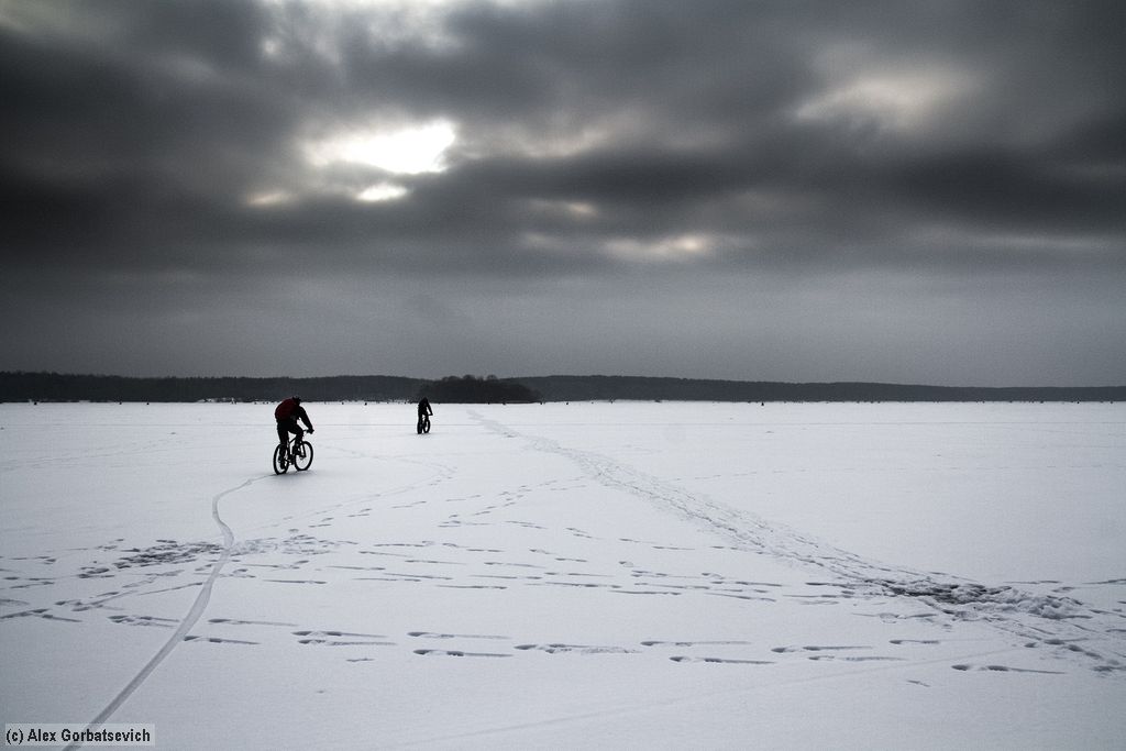 ���� ���������