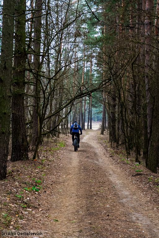 ������� �������