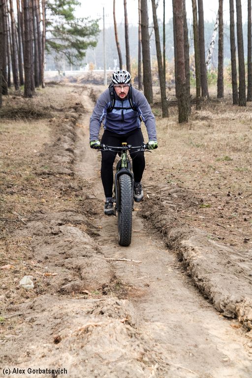 ������� � �������� ����