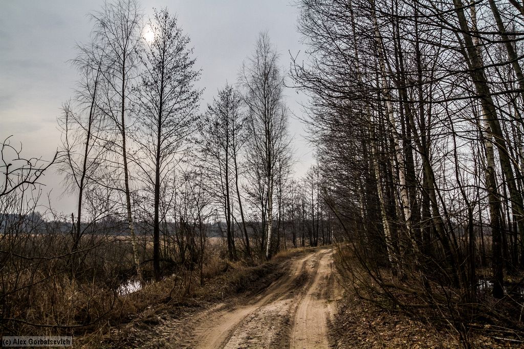 ������ ������