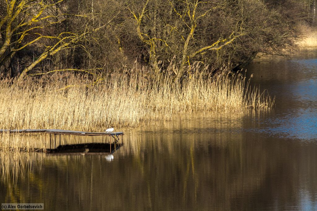 ���������� �������