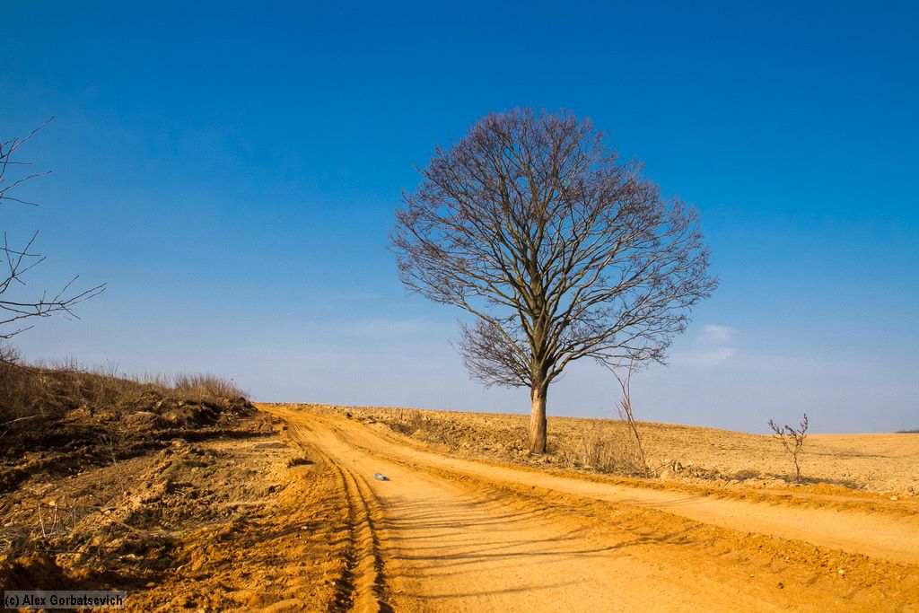 ���� ������