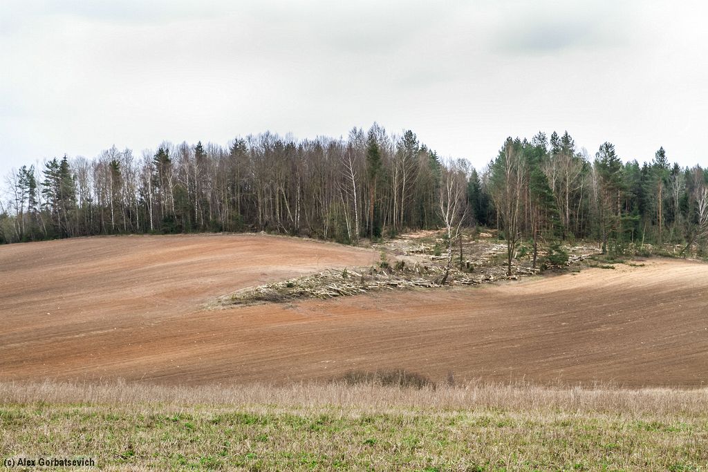 ������ ����