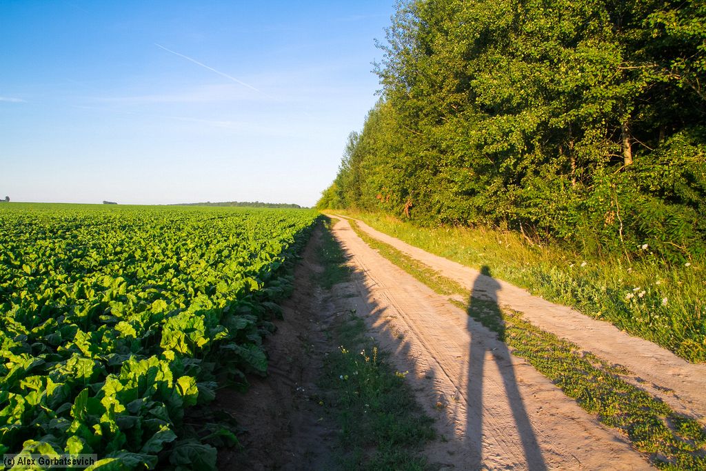 ������� �������