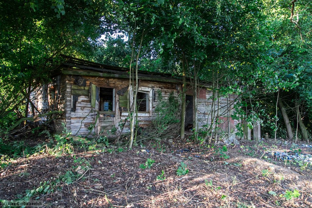 ����������� ���