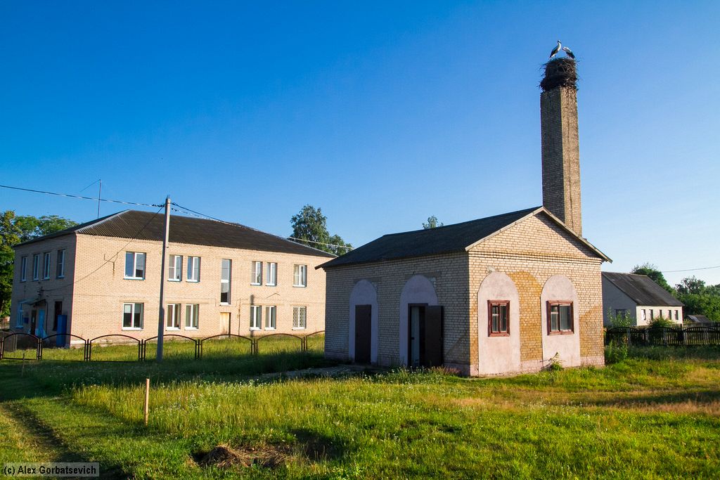 �������� ���