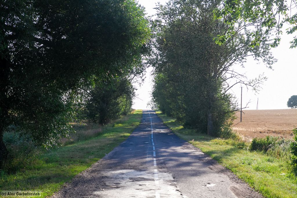 ���� ���