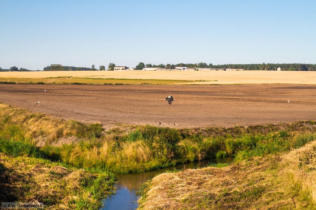 �������� ��� �������