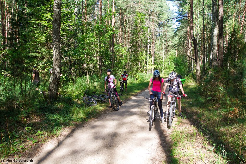 ����� �������