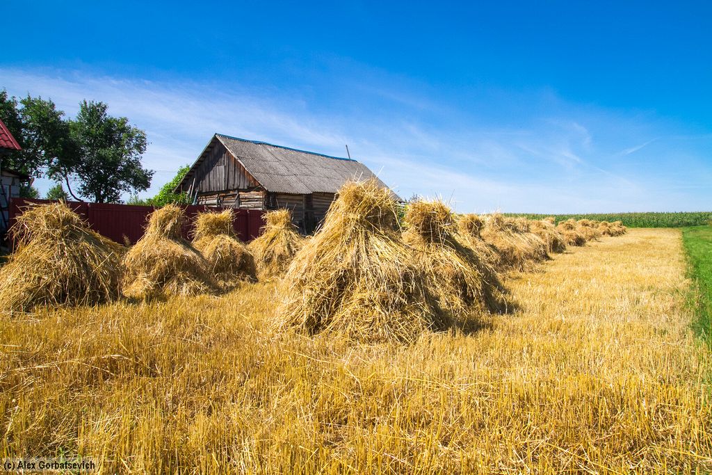 ����� � �������