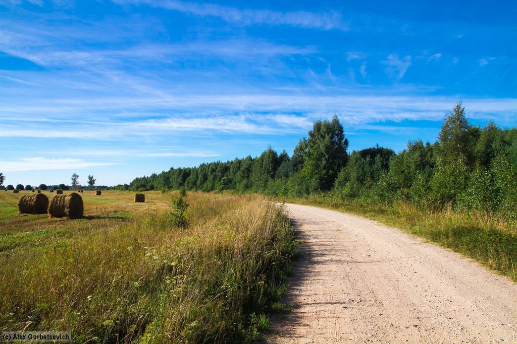 ����� ����