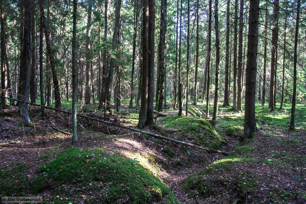 ��������� ������ �������