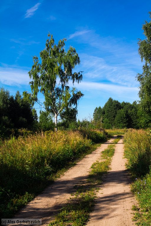 ������ ������