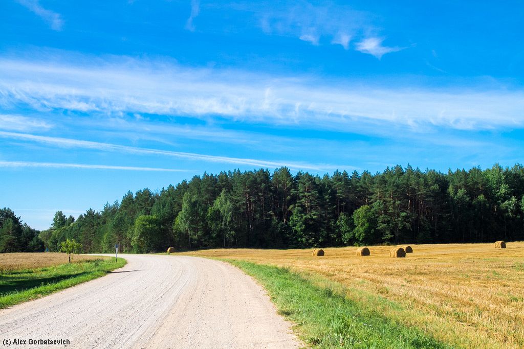 ����� ����