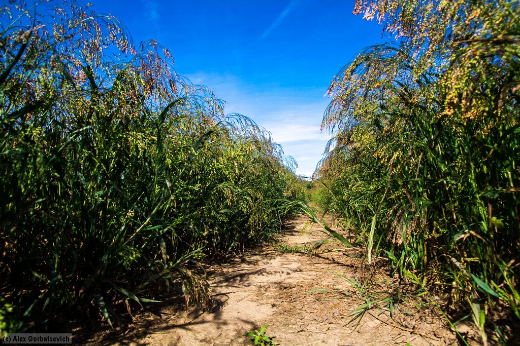 ������� ������