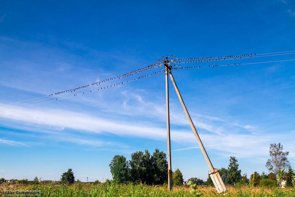 � ������� �����