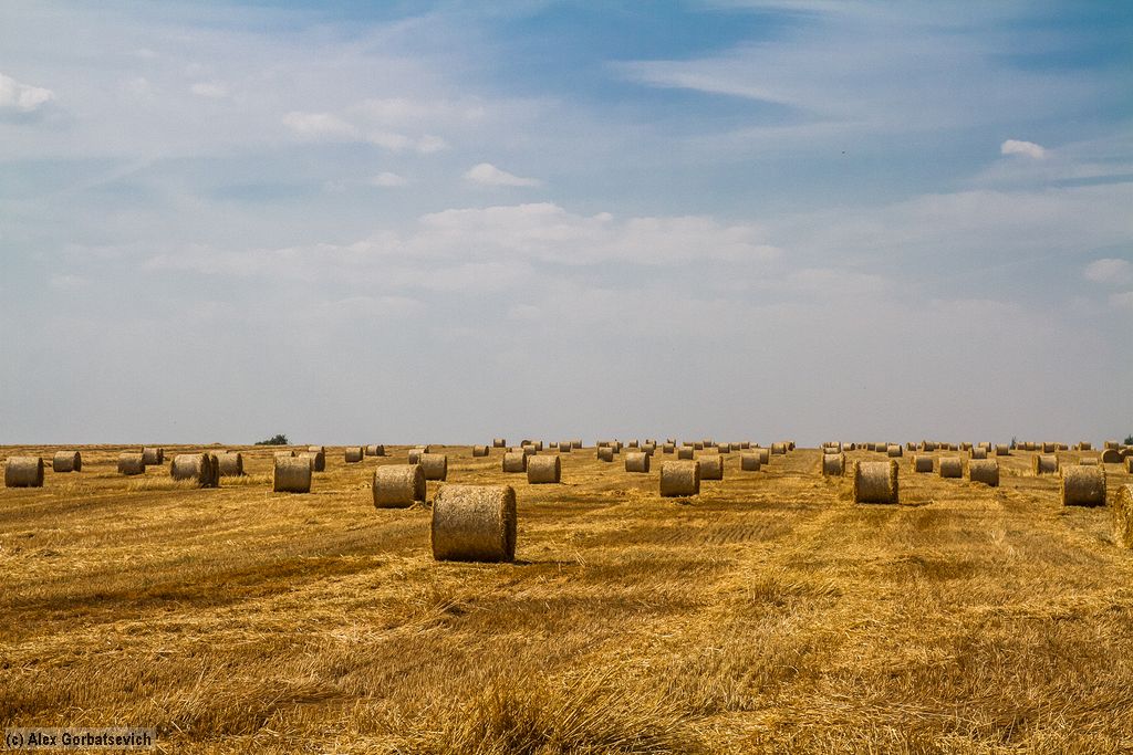 ������ ������