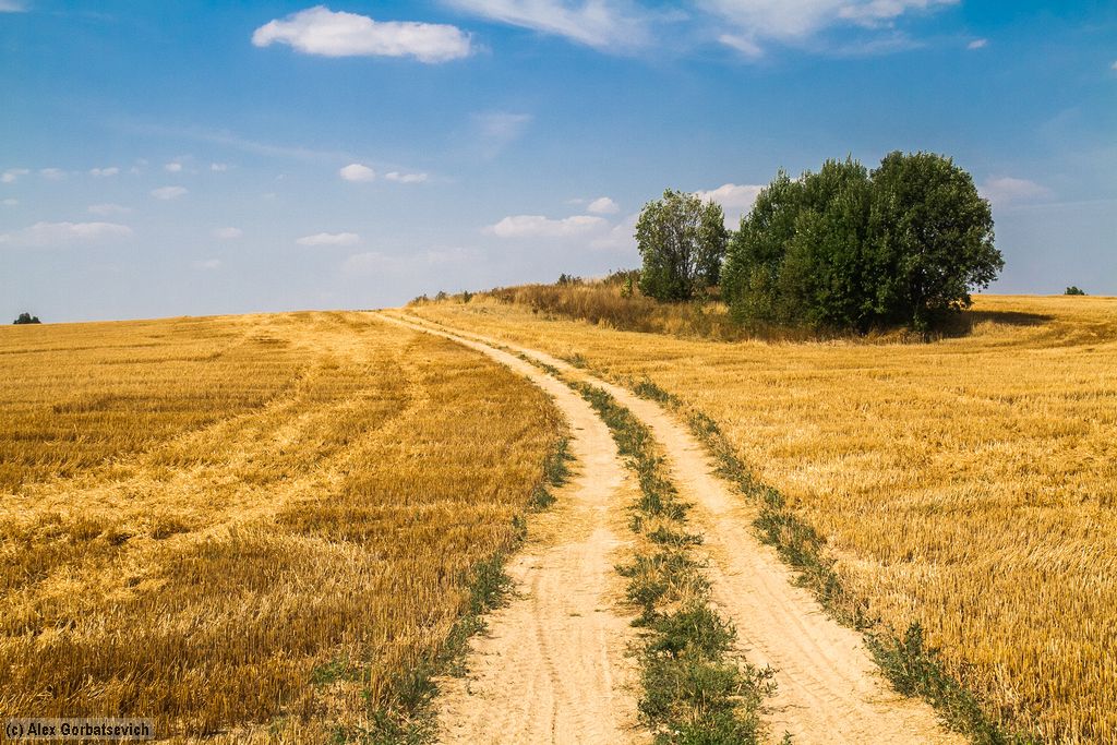 ������� ������