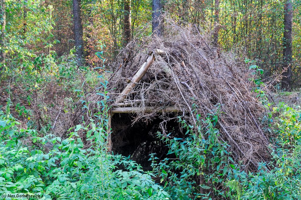 ����� �� ����� �����