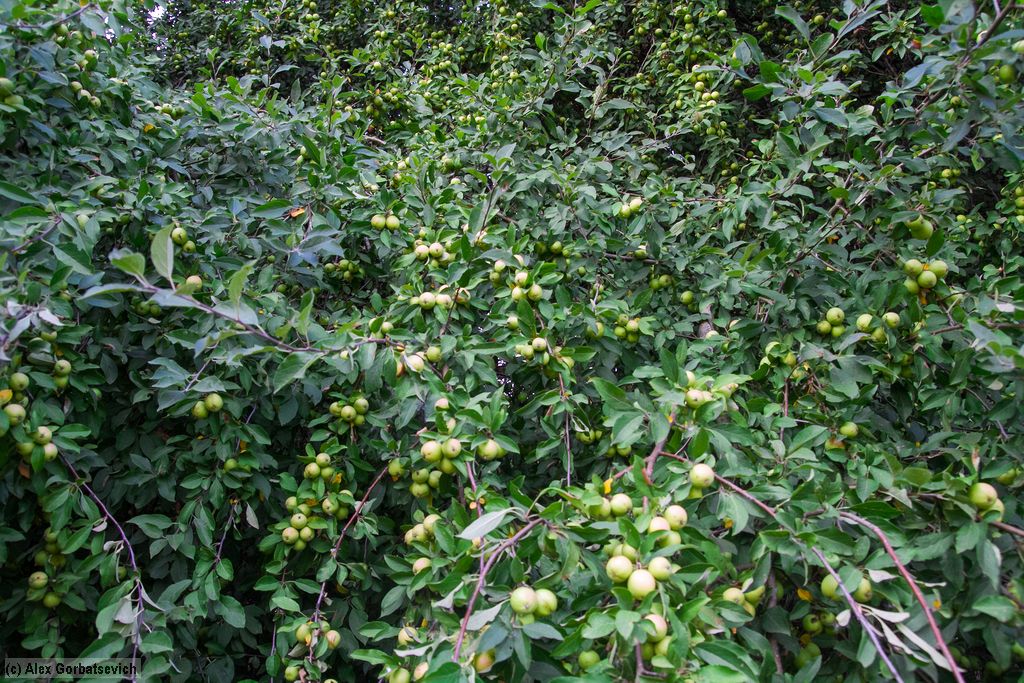 ������. � �� ������ �������� �� ������