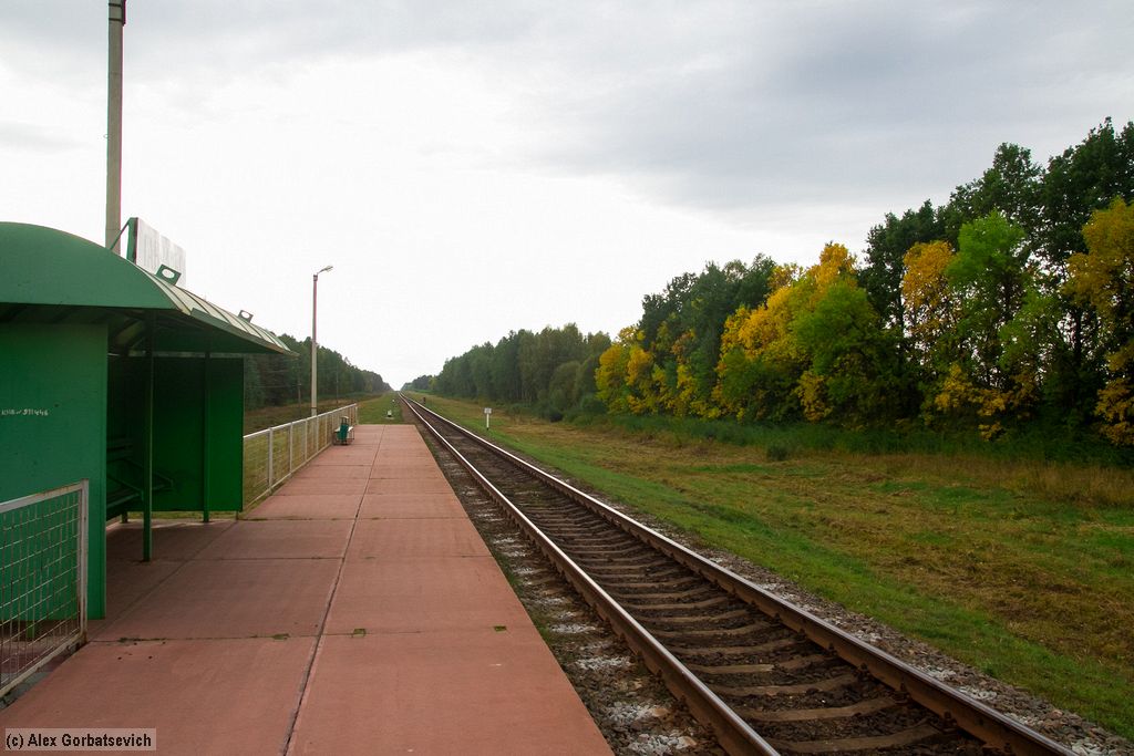 ����� ������