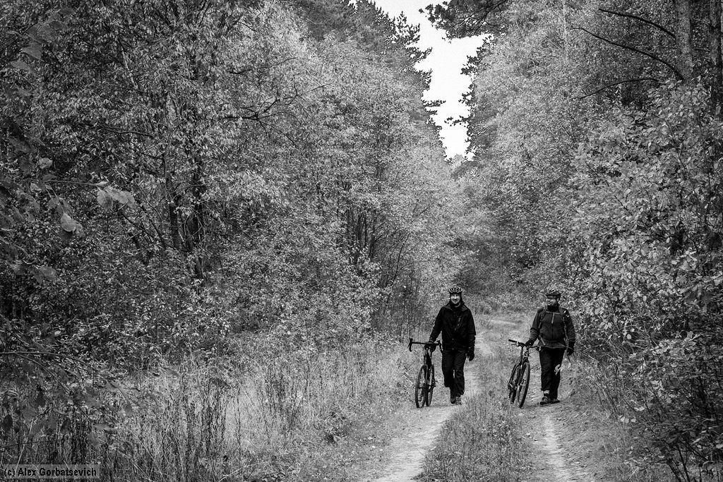 ����� �����