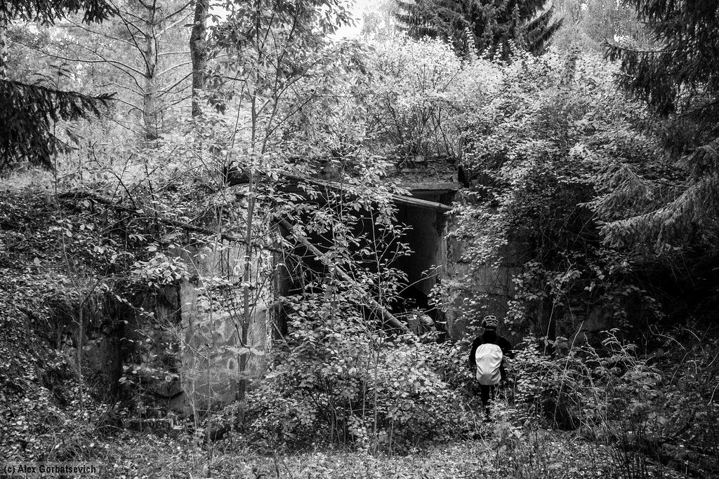 ����� �� ������ ���������� ���������� �����