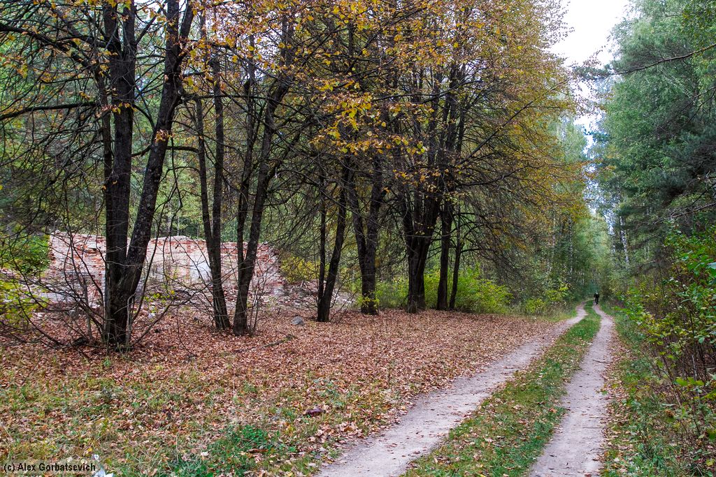 ������� �������