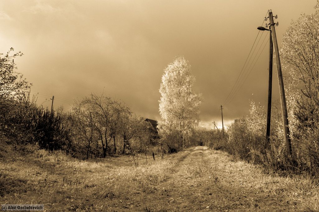 ���� �� �������