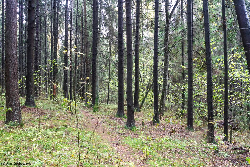 ������� ���