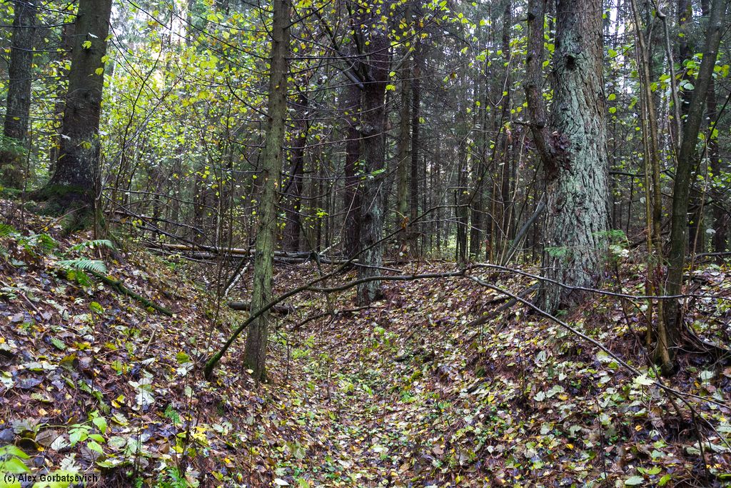 ������� ���