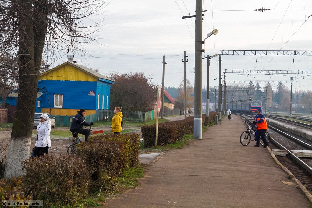 ������������� - ������