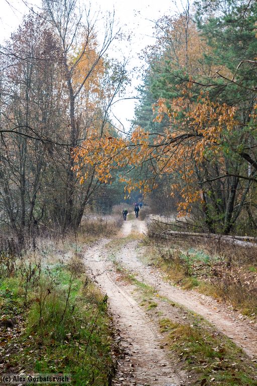 � ������� ����