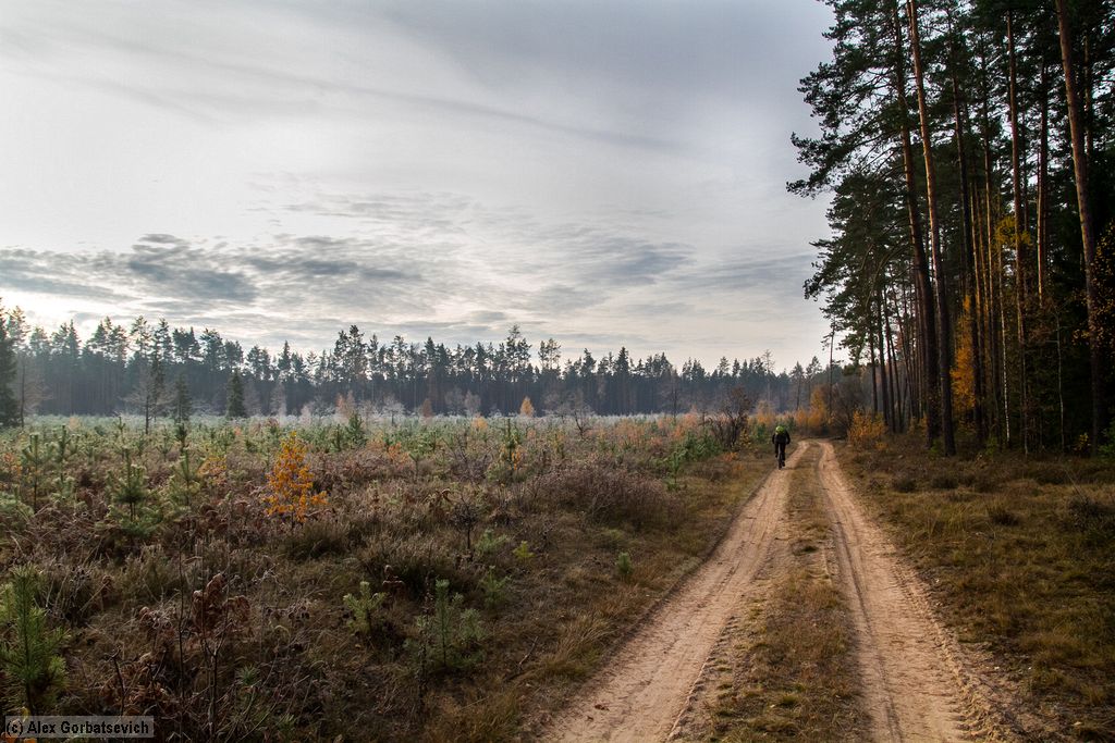 �� ������