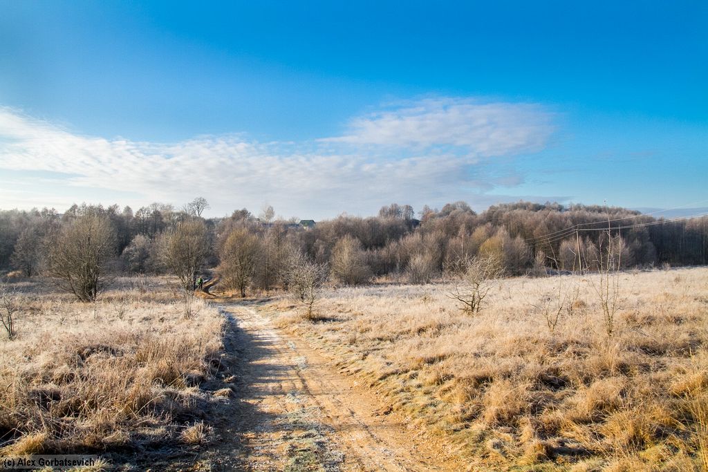 �������� ����