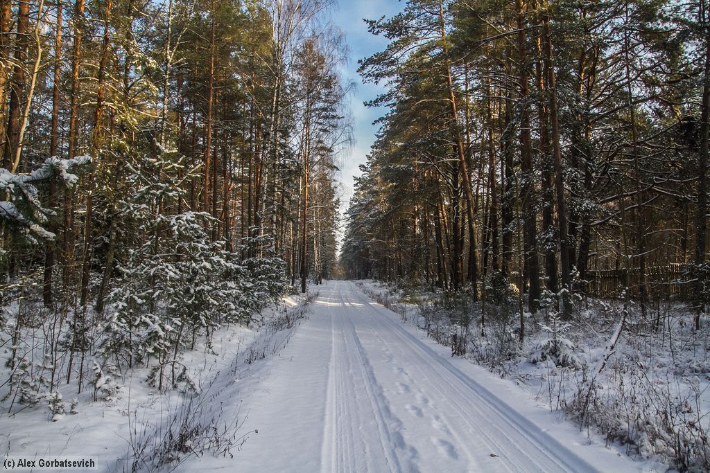 ������ ���