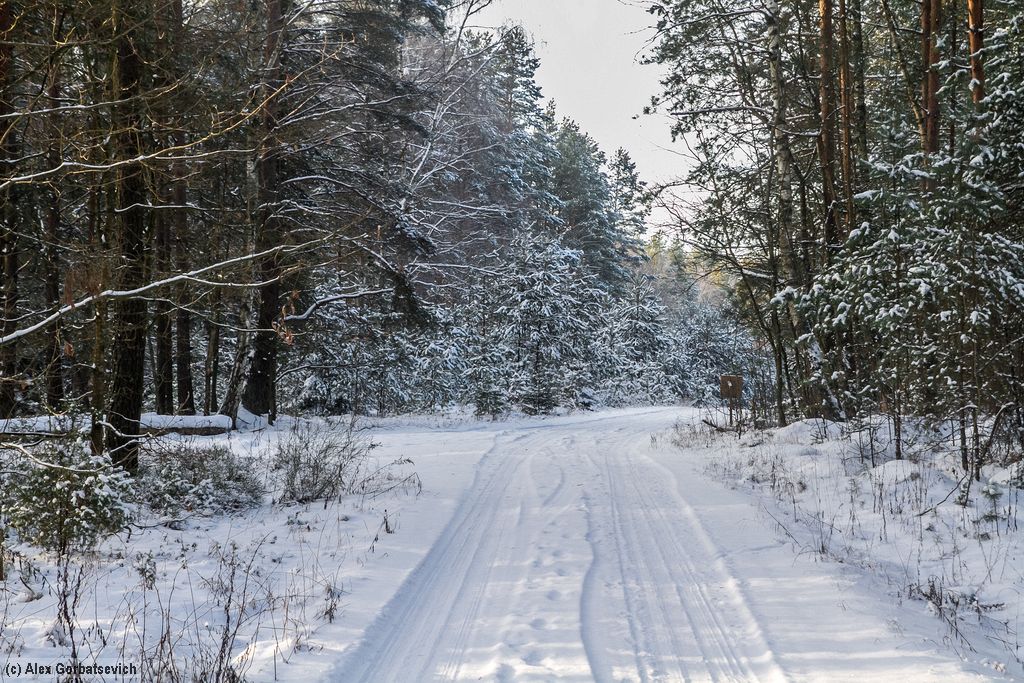 ������ ���