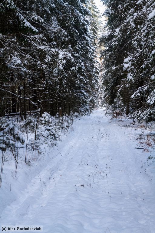 ������ ���