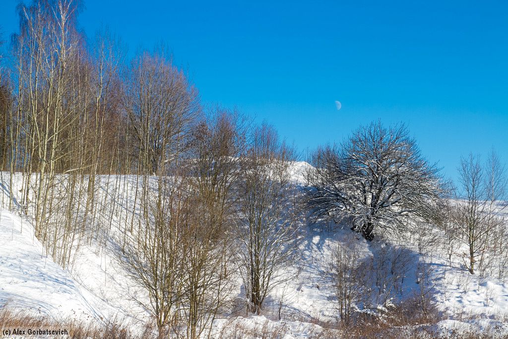 �������� ��� ����