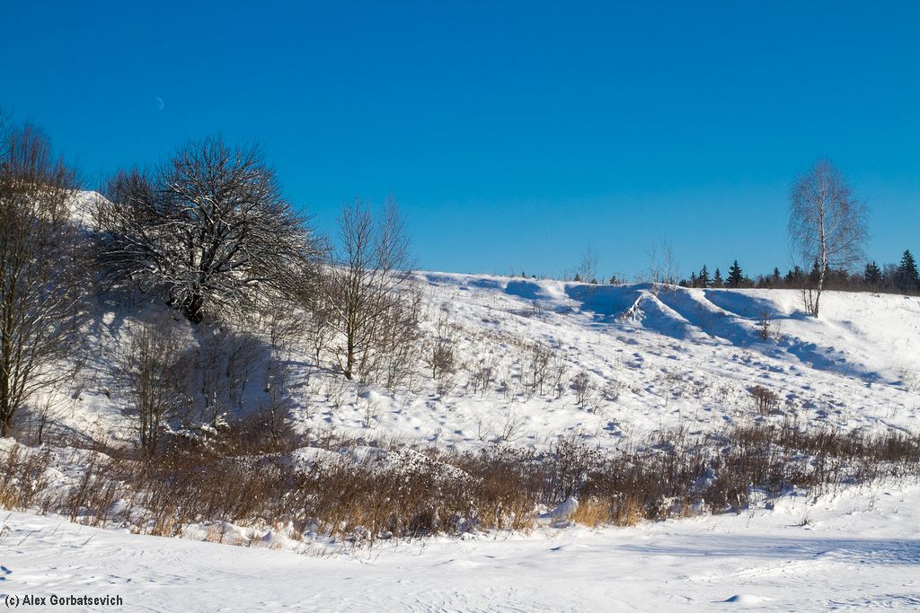 �� ������