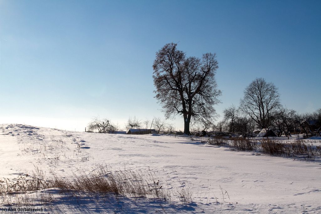 �� ��������