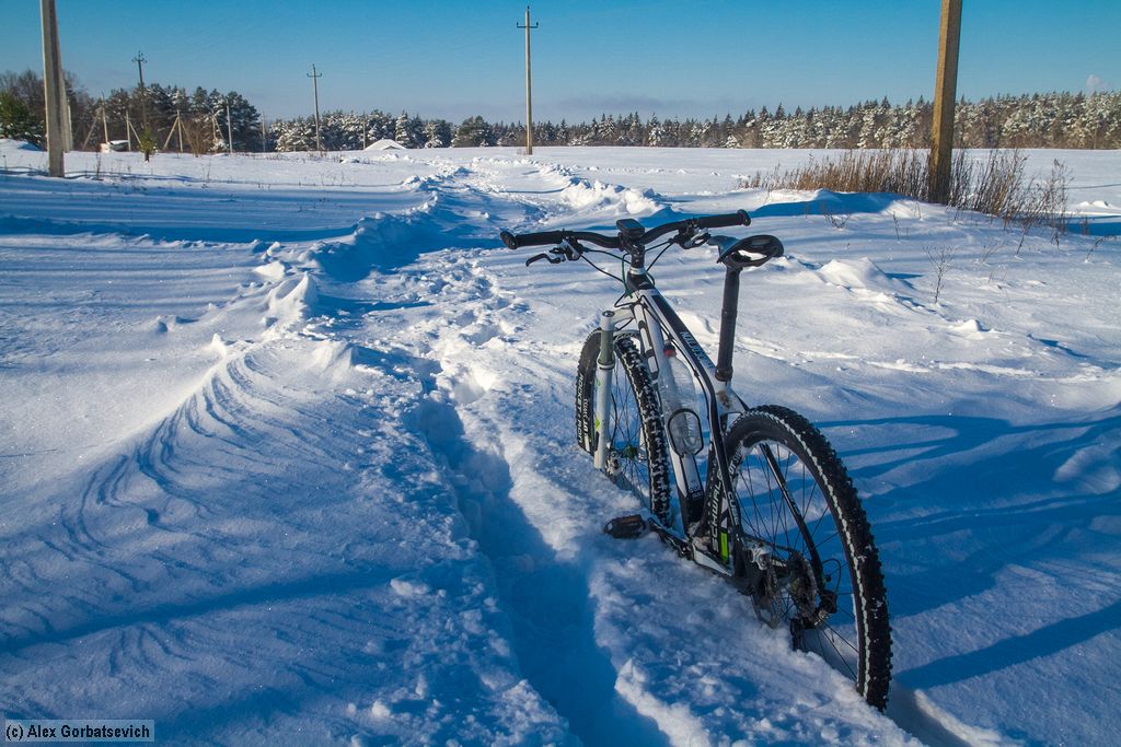 � �������