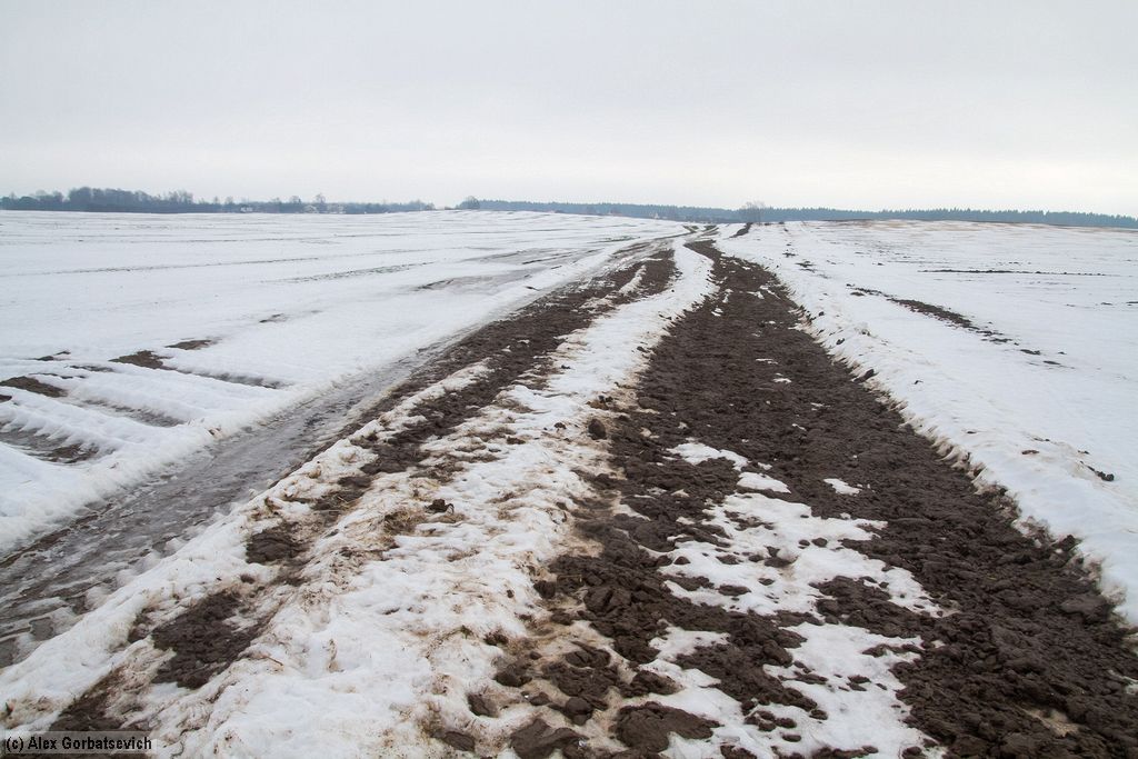 ������ ����� ����������