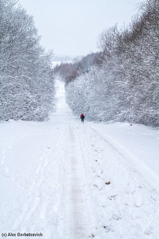 � ���� ����� ����