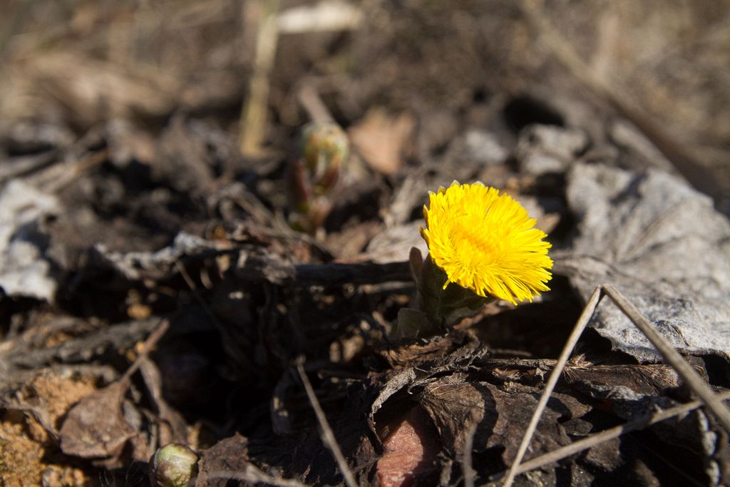 ����-�-������