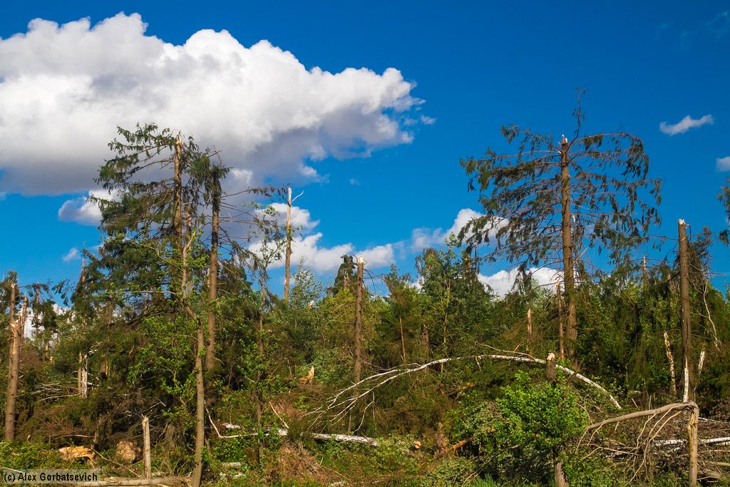 ��������������� 80lvl